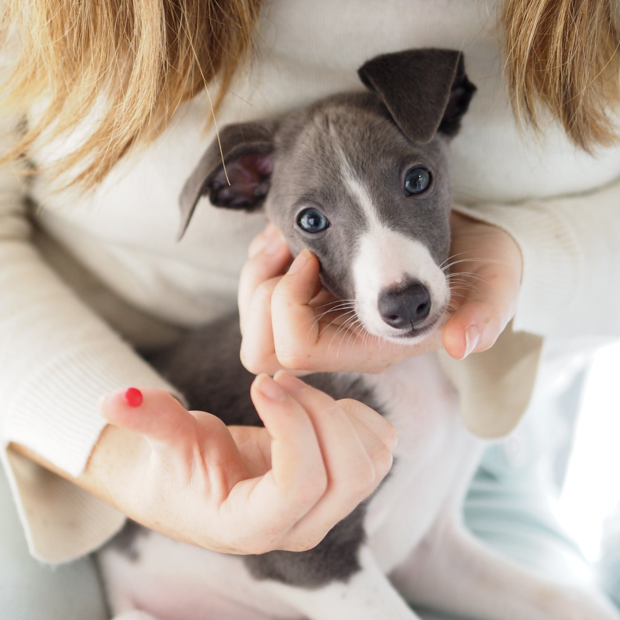 Pet Nose Print Necklace